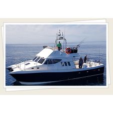 Photo of Atlantic Charters Photo of Atlantic Charters