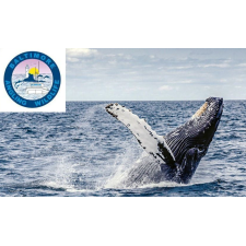 Logo for Baltimore Wildlife Tours Logo for Baltimore Wildlife Tours