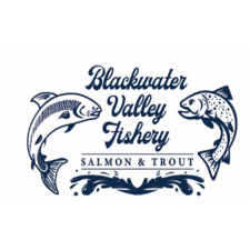 Logo for Blackwater Valley Fishery Logo for Blackwater Valley Fishery