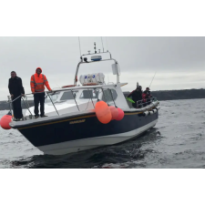 Logo for Donegal Wild Atlantic Way Boat Trips Logo for Donegal Wild Atlantic Way Boat Trips
