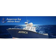 Logo for Dungarvan Bay Charterboats Logo for Dungarvan Bay Charterboats