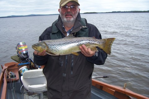 trout