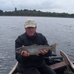 Lough Sheelin trout