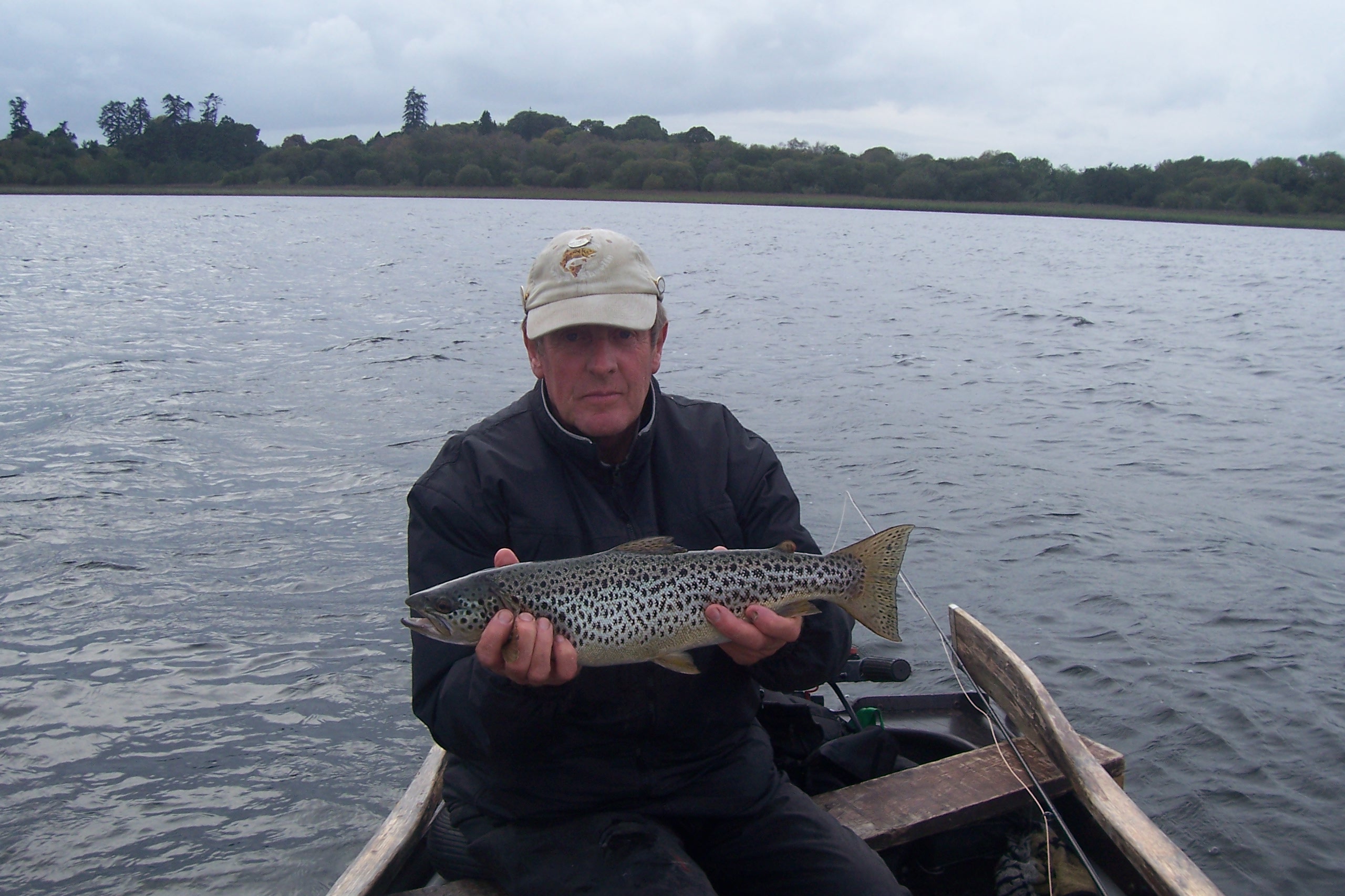 Lough Sheelin trout