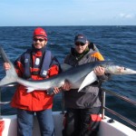 Blue shark