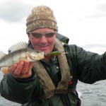 A beautifully colored Perch