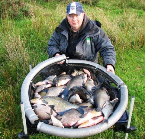 bream