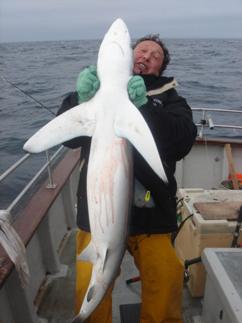 Claude Friscourt with a blue of 2m caught from the Lady Louise out from Courtmacsherry Claude Friscourt with a blue of 2m caught from the Lady Louise out from Courtmacsherry