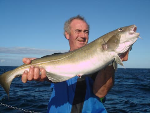 Dublin angler Christy Higgins with a fine Courtmacsherry Cod Dublin angler Christy Higgins with a fine Courtmacsherry Cod