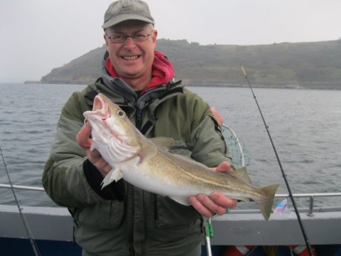 Pat O'Shea with a codling caught just inside Cork Harbour