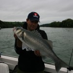 cork harbour bass