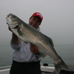 Cork Harbour bass