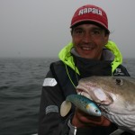 Cork Harbour cod