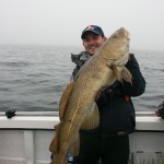 Cork Harbour cod