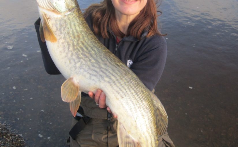 Josie Mahon of Inland Fisheries Ireland with her 17lb 8oz pike from Blessington