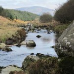 Co. Wicklow river