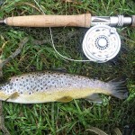 Fane Trout