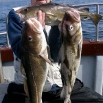 triple cod