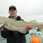 Larne, Antrim Cod