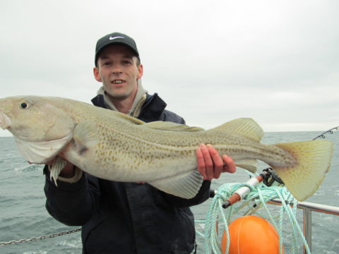 Larne, Antrim Cod 