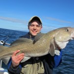 Larne, Antrim Cod