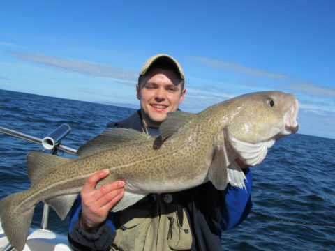 Larne, Antrim Cod 