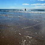 Shore fishing 2