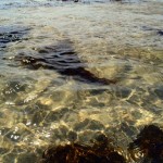 Shore fishing 3