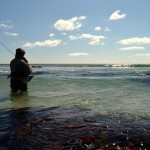 Shore fishing 4