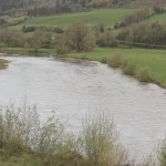 The Munster Blackwater at Ballyduff this morning