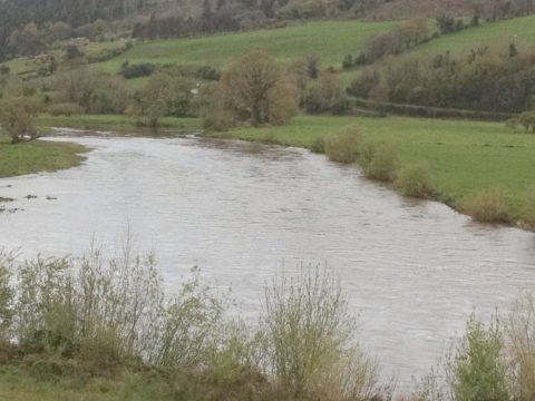 The Munster Blackwater at Ballyduff this morning