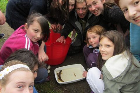 Children get to see wild brown trout from the River Dodder