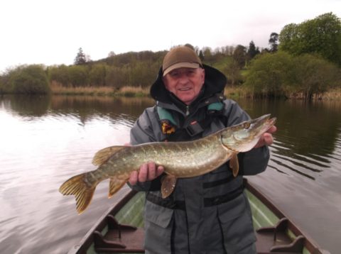 One of the 101 pike taken by the Dutch Group Recently