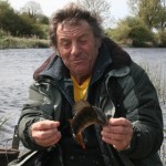 Dave without a Perch – Inny
