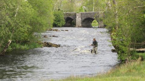 Fishing Below The Four Masters’ Bridge At The Black Hole. Fishing Below The Four Masters’ Bridge At The Black Hole.