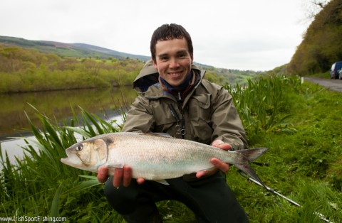 One of more than 40 shad caught by Stephen and his friends at the weekend