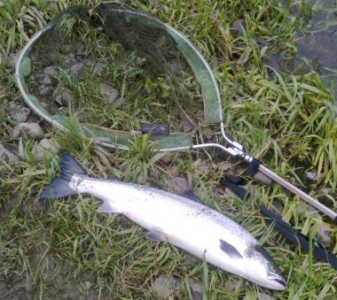 Mick Kennedy's 6lb Salmon