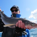 Predator fish 2