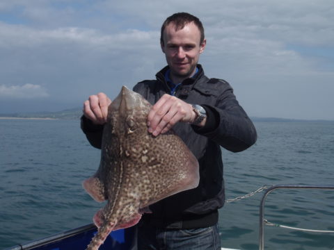 Sergei with his first Thornback Ray of the day.