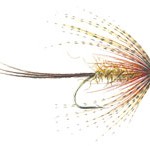 The Gosling fly