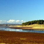 Wexford