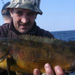 Wrasse Prospector 1