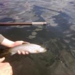 image002