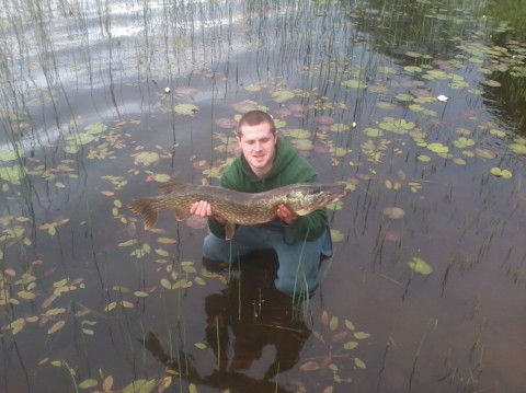 13 lb Pike caught near Clare Shore Line in Lough Derg.