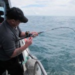 Alan Duthie fighting a pollack off Kilmore Quay