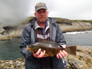 Anthony's wrasse, great fish!