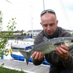 Arklow mullet 1