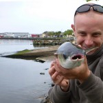 Arklow mullet 4