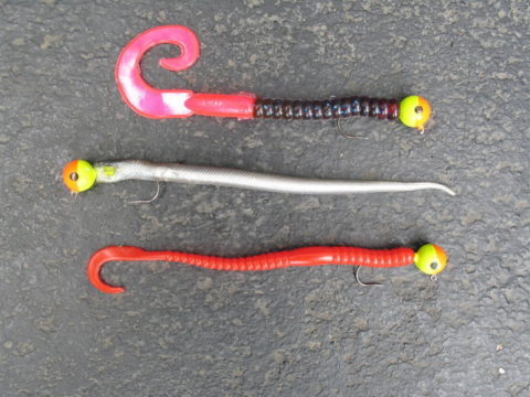 Baits used on the day