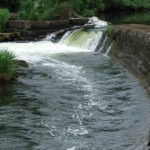 Ballyclough Weir Mulcair